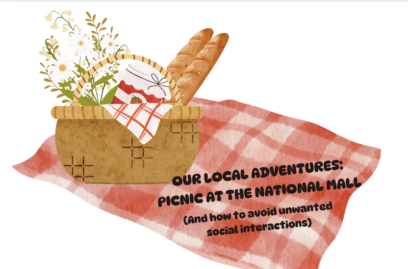 Our Local Adventures: The Lawn of The National Mall